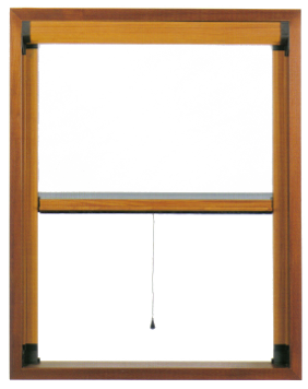 Vera 1